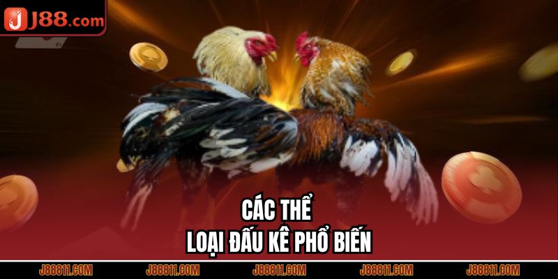Các thể loại đấu kê phổ biến