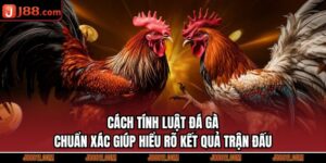 Cách Tính Luật Đá Gà Chuẩn Xác Giúp Hiểu Rõ Kết Quả Trận Đấu