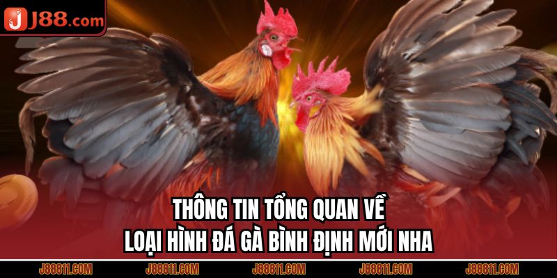 Thông tin tổng quan về loại hình đá gà Bình Định mới nha