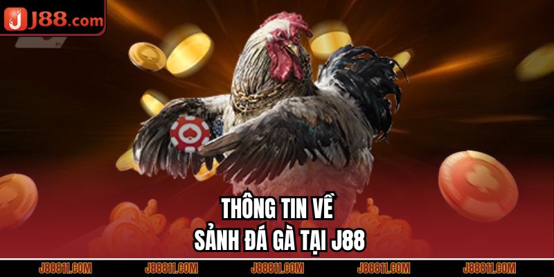 Thông tin về sảnh đá gà tại J88